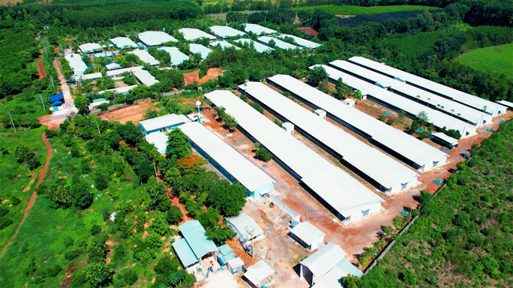 Đầu tư dự án