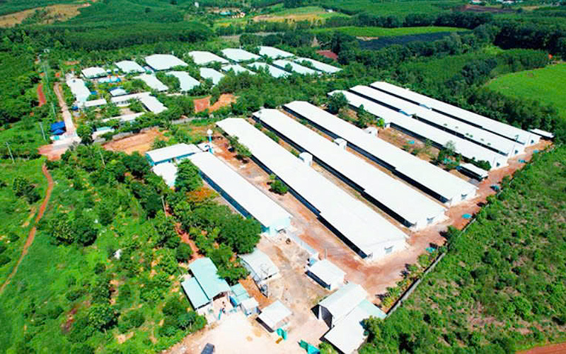 Nông nghiệp công nghệ cao Đồng Nai