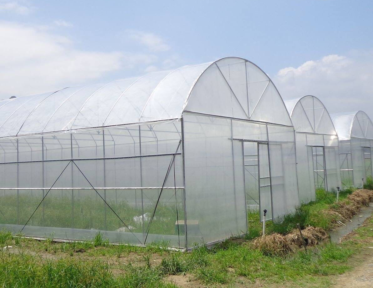 Nhà kính thông minh